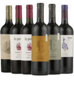 Argentinsk Smagekasse - Malbec vine fra Vinhuset Las Percides - 6 Flasker
