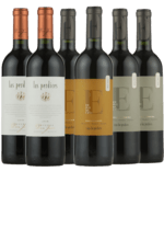 Argentinsk Smagekasse - TOPVINE fra vinhuset Las Perdices - 6 Flasker - Slagelse Vinkompagni