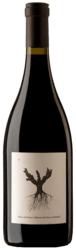 PSI Ribera del Duero Dominio de Pingus Peter Sisseck 2022 - Slagelse Vinkompagni