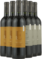 Argentina Smagekasse - TOP fra vinhuset Las Perdices - 6 Flasker - Slagelse Vinkompagni