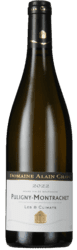 Domaine Alain Chavy Puligny-Montrachet 2022 - Slagelse Vinkompagni