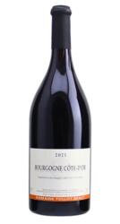 Domaine Tollot Beaut Bourgogne Rouge Cote d'Or