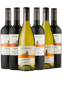 Top lækker smagekasse - Chilevine fra Vinhuset MORANDE Reserva - 6 Flasker - Spar 45 % - Slagelse Vinkompagni