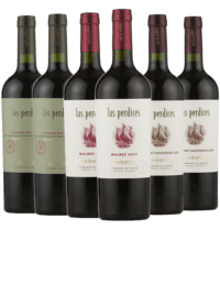 Argentinsk Smagekasse - Estate vine fra vinhuset Las Percides - 6 Flasker - Slagelse Vinkompagni