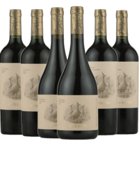 Argentinsk Smagekasse - Estate Reserva vinene fra vinhuset Las Percides - 6 Flasker - Slagelse Vinkompagni