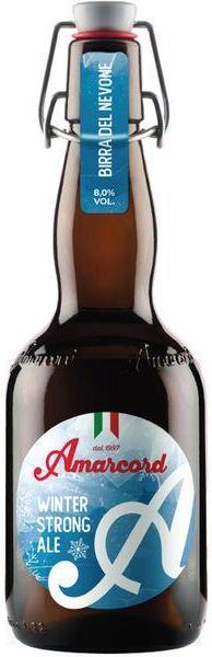 Amarcord Winter Strong Ale 50 cl.  - Slagelse vinkompagni