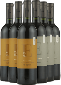 Argentina Smagekasse - TOP fra vinhuset Las Perdices - 6 Flasker - Slagelse Vinkompagni