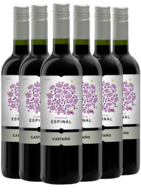 CASTAÑO DOMINIO ESPINAL MONASTRELL – YECLA – KASSEKØB 6 FLASKER - Slagelse Vinkompagni