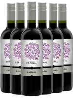 CASTAÑO DOMINIO ESPINAL MONASTRELL – YECLA – KASSEKØB 6 FLASKER